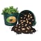 Emsco Group Spud Tub Potato Grow Kit, Works Great on Decks and Patios, Low Maintenance & High Potato Yields 2352-1 - alternate 1